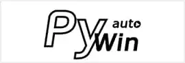 pywin Icon