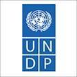 undp logo