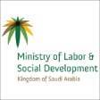 Ministry of Labor and Social Development