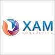Xam-Consulting logo