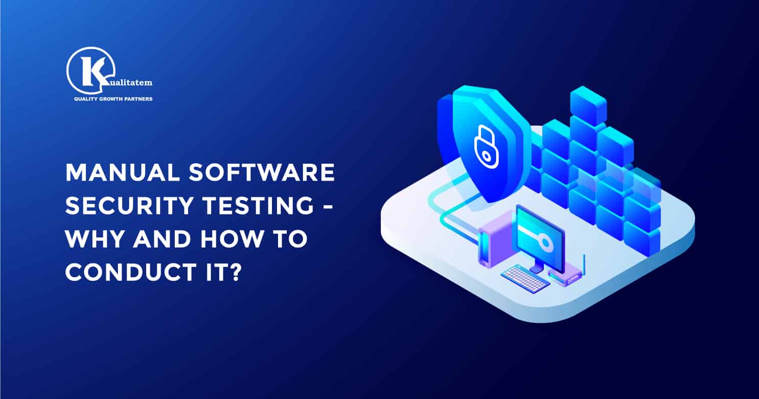 Software security testing